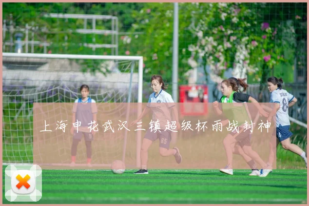 上海申花武汉三镇超级杯雨战封神