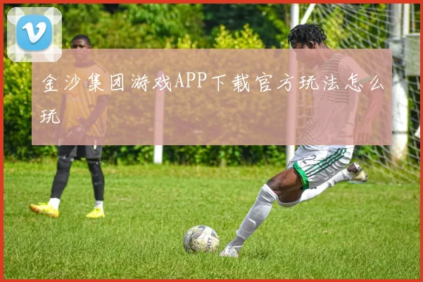 金沙集团游戏APP下载官方玩法怎么玩