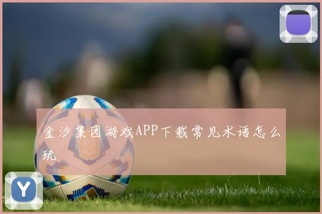 金沙集团游戏APP下载常见术语怎么玩